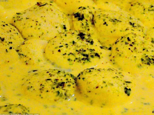 Rasmalai Fusion
